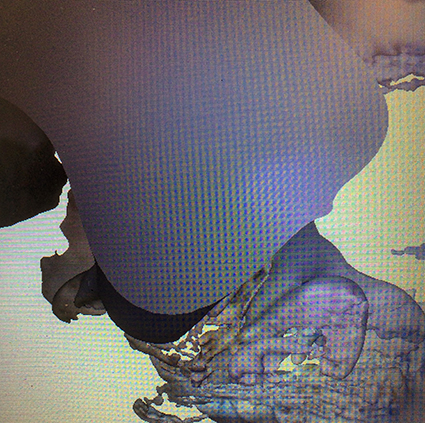 Interrupted 3D scan by artist Paul Coombs